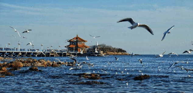Teach English in Qingdao: The Complete Guide