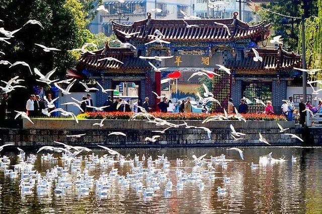 Teach English in Kunming: The Complete Guide