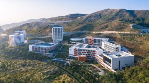 What are the Characteristics of New International Schools?
